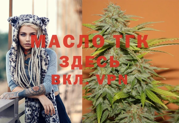 соль ск Верхний Тагил