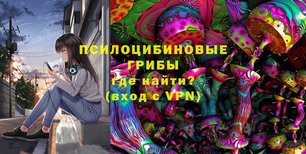 соль ск Верхний Тагил
