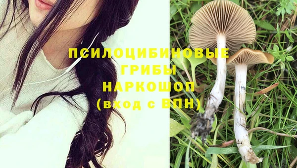 соль ск Верхний Тагил