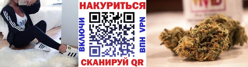 Бошки Шишки OG Kush  нарко площадка формула  Чита  даркнет сайт 